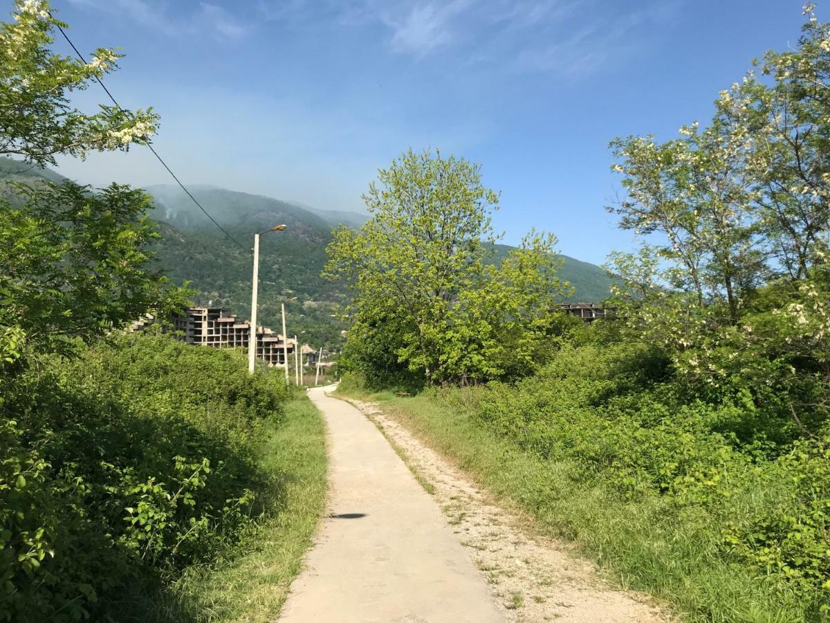 Ainar Hotel Gagra Kültér fotó