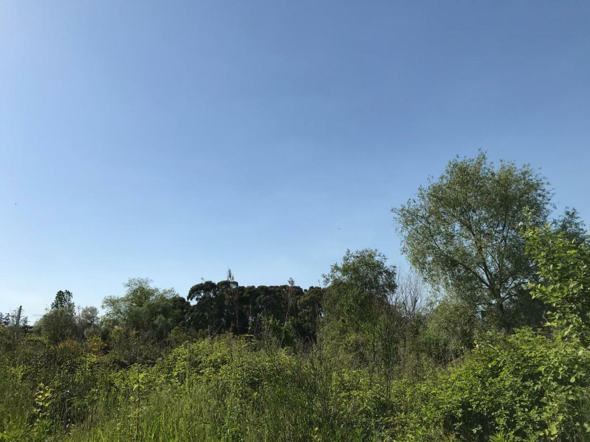 Ainar Hotel Gagra Kültér fotó